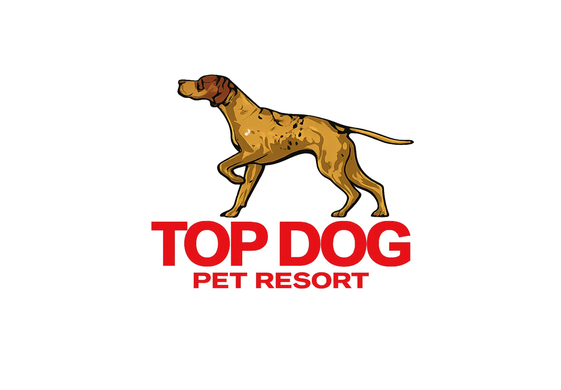 Top Dog Pet Resort - Website redesign for premier pet boarding